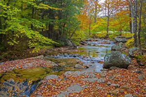 New Hampshire Prints: USA, New Hampshire, New England, Jackson small stream surrounded in Fall color