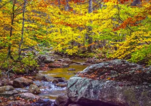 Images Dated 4th October 2013: USA, New Hampshire, New England, Jackson small stream surrounded in Fall color