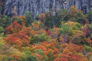 New Hampshire Prints: USA, New Hampshire, New England Crawford Notch Sate Park along highway 302 in Fall color