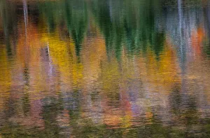 Images Dated 4th October 2013: USA, New Hampshire, New England Fall colors reflected in the waters of the Saco River