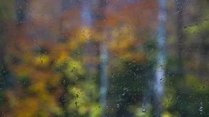 Raindrop Prints: USA, New Hampshire, Sugar Hill looking through windshield on rainy day with Hardwood