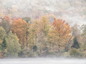 New Hampshire Prints: USA, New Hampshire, White Mountains, Fog drifts around Coffin Pond