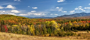 New Hampshire Prints: USA, New Hampshire, White Mountains, Panoramic view of autumn in the White Mountains