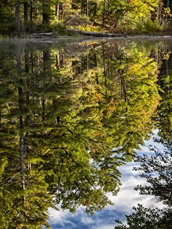 New Hampshire Prints: USA, New Hampshire, White Mountains, Reflections in Red Eagle Pond