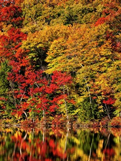 USA Collection: New Hampshire Collection