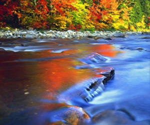 High Prints: USA; New Hampshire; White Mountains. ; Swift River reflecting autumn colors