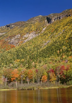 New Hampshire Prints: USA, New Hampshire, White Mountains, Crawford Notch State Park, Mount Webster rises