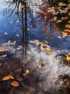 Images Dated 12th October 2015: USA, New Hampshire, White Mountains, North Woodstock, Fall reflections on Pemigewasset