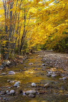 Images Dated 20th April 2021: USA, New Hampshire, White Mountains National Forest, Highway 112
