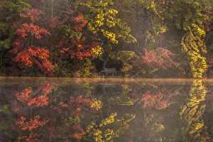 Images Dated 30th May 2019: USA, New Jersey, Belleplain State Forest. Autumn tree reflections on lake. Credit as