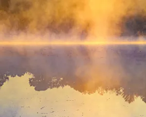 USA, New Jersey, Belleplain State Forest. Sunrise on lake fog