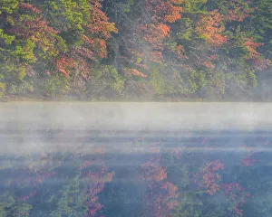 USA, New Jersey, Belleplain State Forest. Sunrise on lake fog