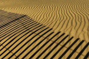 Images Dated 23rd October 2018: USA, New Jersey, Cape May National Seashore. Fence shadow on shore sand. Credit as