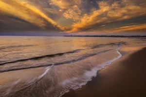 Images Dated 3rd February 2019: USA, New Jersey, Cape May National Seashore