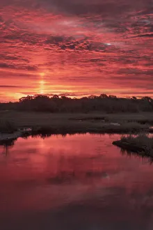 Images Dated 15th October 2018: USA, New Jersey, Cape May National Seashore