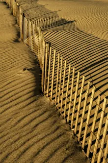 Images Dated 23rd October 2018: USA, New Jersey, Cape May National Seashore. Fence shadow on shore sand. Credit as