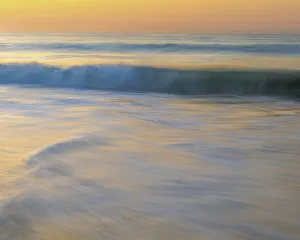 USA, New Jersey, Cape May National Seashore. Wave on beach at sunrise
