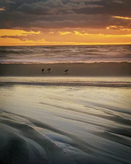 Images Dated 20th April 2022: USA, New Jersey, Cape May National Seashore. Cloudy sunset on seashore