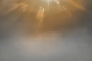 USA, New Jersey, Cape May National Seashore. Sunrise beams on foggy ocean