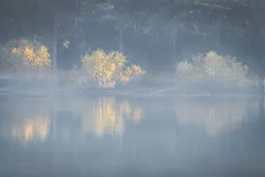 Images Dated 20th April 2022: USA, New Jersey, Cape May National Seashore. Foggy forest reflections on lake at sunrise