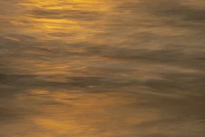 USA, New Jersey, Cape May National Seashore. Ocean reflections at sunset