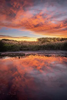 USA, New Jersey, Cape May National Seashore. Sunrise on marsh