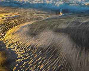 Images Dated 2023 April: USA, New Jersey, Cape May National Seashore. Sunrise on ocean shore