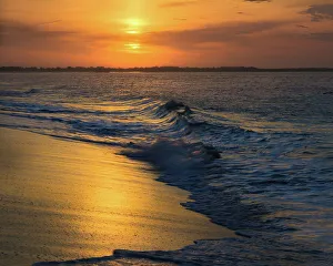 Moody Prints: USA, New Jersey, Cape May National Seashore