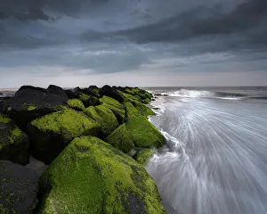 Mossy Prints: USA, New Jersey, Cape May National Seashore
