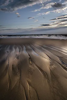 Moody Prints: USA, New Jersey, Cape May National Seashore