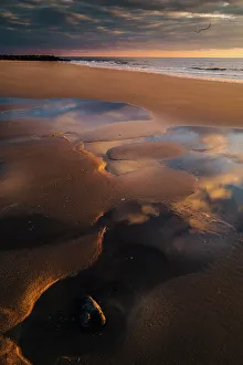 Moody Prints: USA, New Jersey, Cape May National Seashore