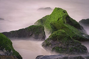 Jay Obrien Prints: USA, New Jersey, Cape May National Seashore