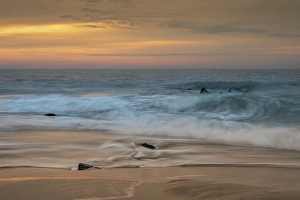 Jay Obrien Prints: USA, New Jersey, Cape May National Seashore
