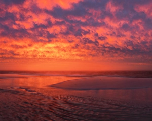 Jay Obrien Prints: USA, New Jersey, Cape May National Seashore