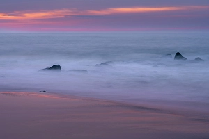 Jay Obrien Prints: USA, New Jersey, Cape May National Seashore