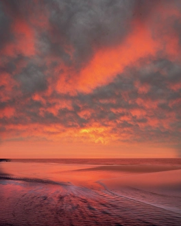Jay Obrien Prints: USA, New Jersey, Cape May National Seashore