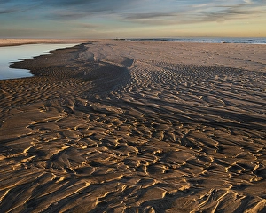 Jay Obrien Prints: USA, New Jersey, Cape May National Seashore