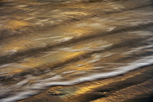 Jay Obrien Prints: USA, New Jersey, Cape May National Seashore. Sunrise reflections on shore water