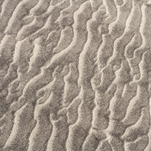 Images Dated 30th April 2024: USA, New Jersey, Cape May National Seashore. Close-up of sand patterns
