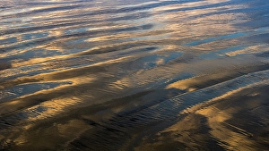 Jay Obrien Prints: USA, New Jersey, Cape May National Seashore. Sunrise reflections on shore water and sand