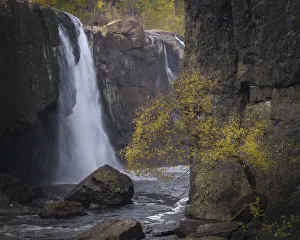 Images Dated 28th June 2022: USA, New Jersey, Great Falls State Park. Waterfall and tree in autumn