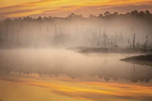 Images Dated 27th April 2021: USA, New Jersey, Pine Barrens National Preserve. Sunrise reflects in foggy marsh pond