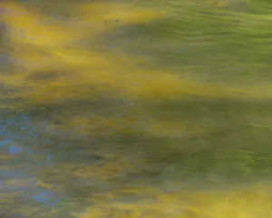 Images Dated 26th May 2021: USA, New Jersey, Pine Barrens National Preserve. Abstract of yellow clouds at sunset