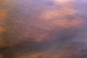 Images Dated 26th May 2021: USA, New Jersey, Pine Barrens National Preserve. Abstract of orange clouds at sunset