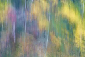 USA, New Jersey, Pine Barrens National Preserve. Autumn colors reflect in water