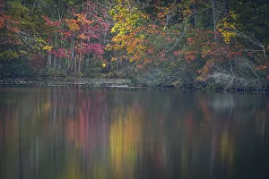 Images Dated 26th May 2021: USA, New Jersey, Pine Barrens National Preserve. Autumn colors reflect in lake