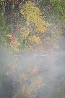 Images Dated 17th March 2022: USA, New Jersey, Pine Barrens National Preserve. Foggy forest and lake landscape