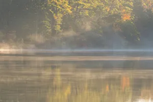 Images Dated 20th April 2022: USA, New Jersey, Pine Barrens National Preserve. Foggy forest and lake landscape