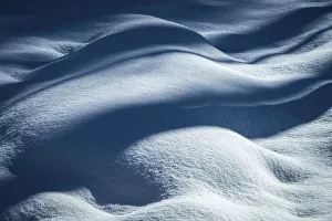 USA, New Jersey, Pine Barrens National Preserve. Shadow patterns on fresh snow