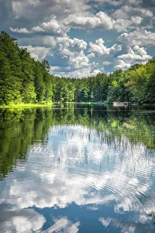 Images Dated 2nd June 2023: USA, New Jersey, Pine Barrens National Preserve. Forest reflections in lake at sunrise